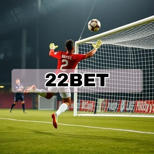 22bet.com: Recursos da Seção Conta Que Você Precisa Conhecer